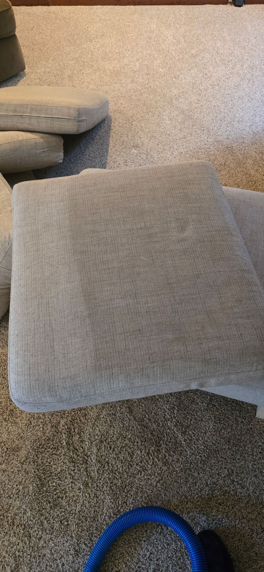 Beige pet bed on carpet beside a couch, with a blue toy partially visible at the bottom.