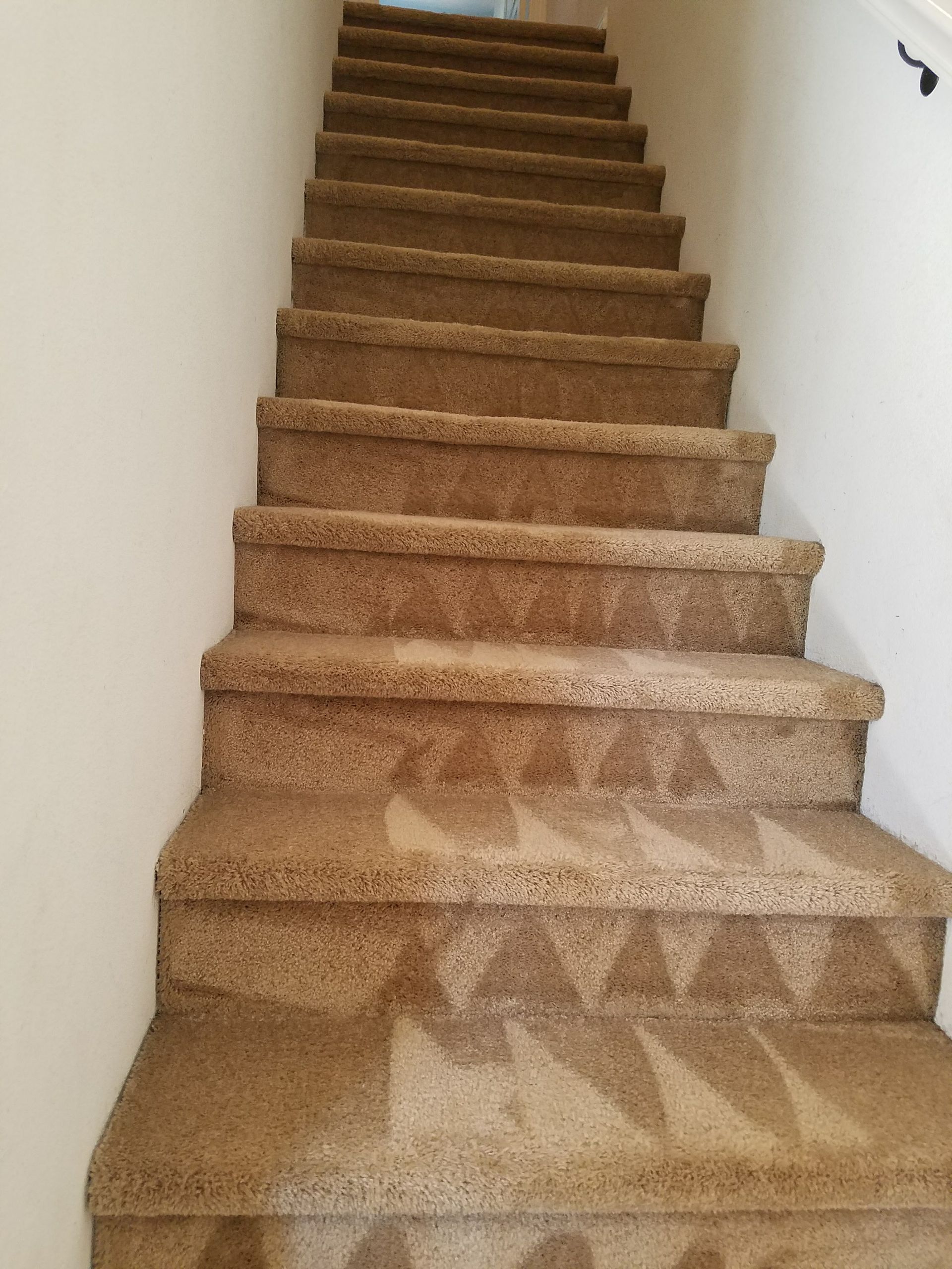 Carpeted staircase with beige walls, viewed from the bottom looking upward