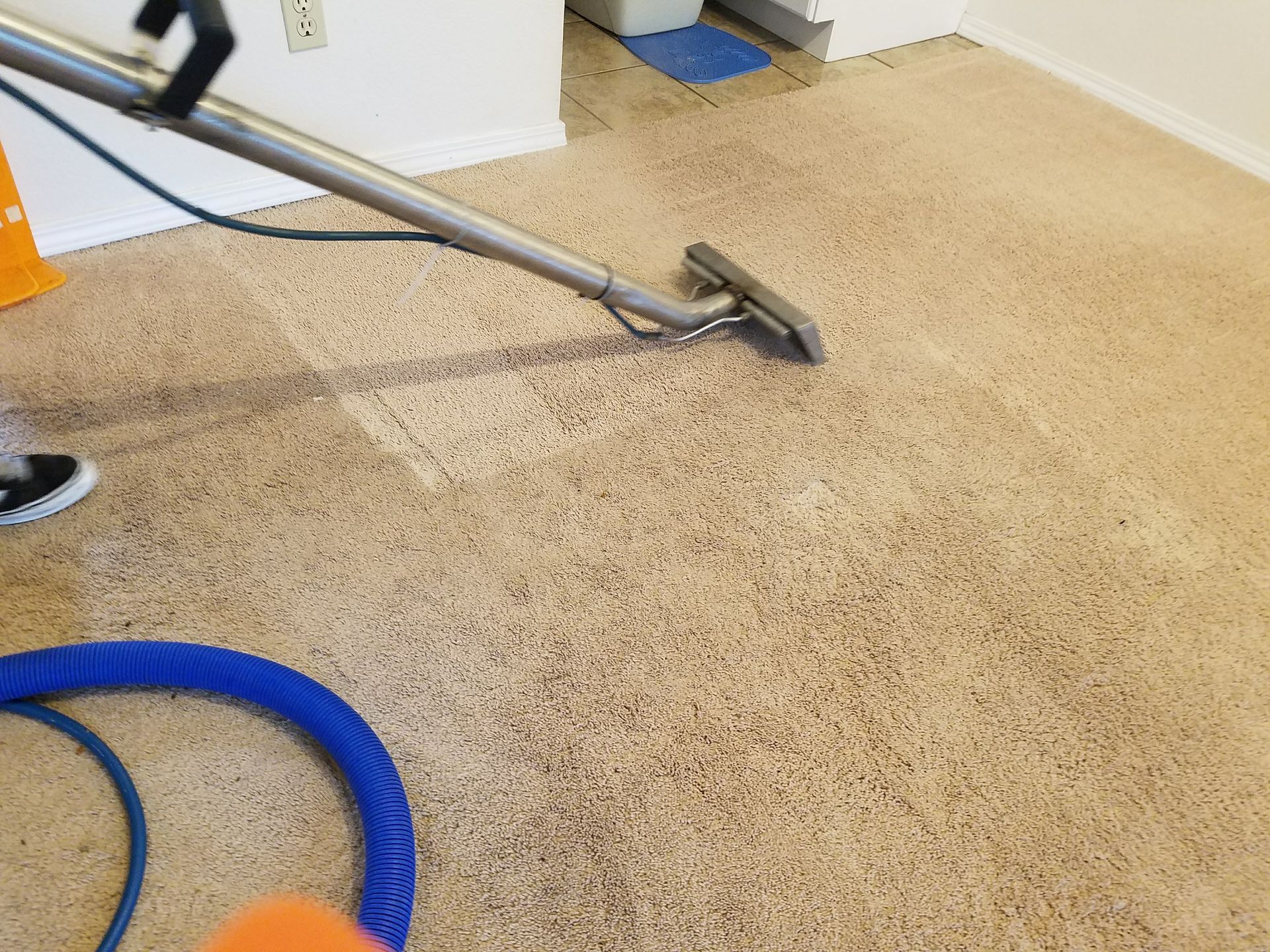 Carpet cleaning wand vacuuming beige carpet with a blue hose attached