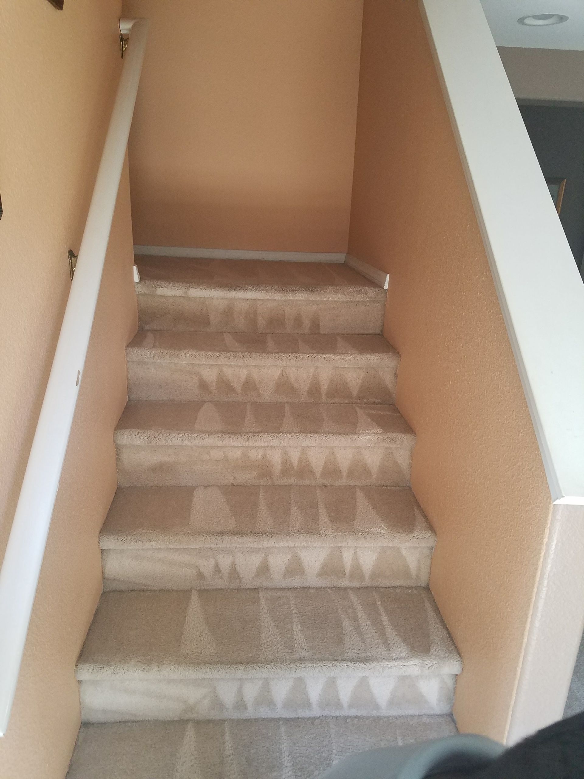 Carpeted indoor staircase with beige walls and white railings leading upward