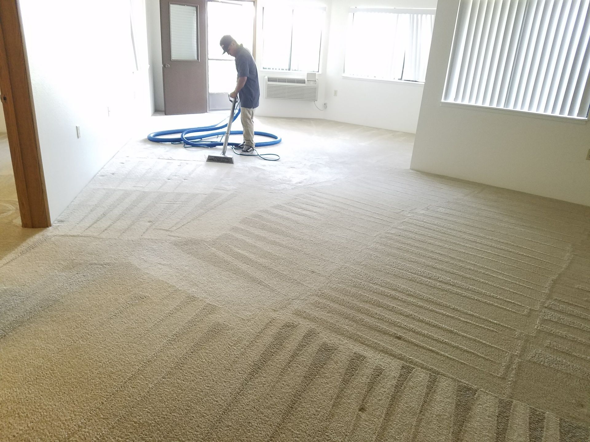 Person vacuuming a carpeted room with sunlight streaming through the windows